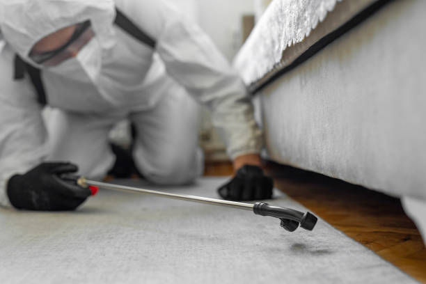 Professional Termite Control technician working in De Leon, TX