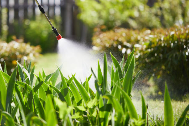 24/7 Emergency Termite Control experts in De Leon, TX