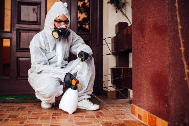 Reliable Termite Control contractor in De Leon, TX by Nex Pest Control